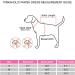 Shop Pinkaholic New York NARA-OP7310 Dog Clothing - Stylish Blue Pawsh for Small Dogs | International Shipping Available - Buy Online on GoSupps.com