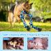 ETACCU 42 6-Knot Dog Rope Toy for Large Breeds - Heavy Duty Indestructible Chew Toy for Aggressive Dogs - 100% Cotton Tug Rope for Chewers - Buy Online on GoSupps.com