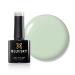 BLUESKY Endless Summer Collection - Gel Nail Polish for Shiny and Beautiful Nails | Long Lasting of up to 3 Weeks (Mint Convertible 80569)