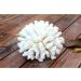 Buy Besimplle 2-Piece Artificial Coral Ornaments - Aquarium Resin Coral Decor & Underwater Sea Plants for Stunning Decor - Buy Online on GoSupps.com
