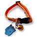 MHS Cat ID Tag Reflective Cat Collar with Bell Cat Tags for Pets Engraved ID Tag Personalised Cat Name Tags Customised Cat ID Tags (Black Tag + Orange Collar)