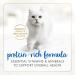 Fancy Feast Wet Cat Food Pate Ocean Whitefish & Tuna Feast - 85 g Can (24 Pack) & Delights Wet Cat Food Variety Pack 3 Flavours - 85 g Can (12 Pack) Cat Food + Creamy Delights Cat Food - Buy Online on GoSupps.com
