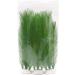 BEGONDIS Aquarium Decorations 3Pcs Silk & Plastic Green Water Plants for Fish Tank - 11 Inches - Buy Online on GoSupps.com