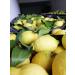 L'Idaeale Farm Untreated fresh lemons untreated lemons 9 kg edible peel guaranteed Giardino Digital Products in Calabria Made in Italy - Buy Online on GoSupps.com