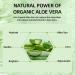 New Cover Aloe Vera Moisturizing Cream Soothing Face Moisturizer With Organic Aloe Vera Instantly Soothes and Hydrates Skin Care | Non-Greasy Anti Wrinkle Facial Cream for Men Women All Skin Types - Buy Online on GoSupps.com