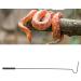 DONN Small Snake Hook Snake Hook a Non-slip Handle As a Pole Iron Material for Indoor for Outdoor - Buy Online on GoSupps.com