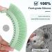 FREATECH Body Brush - Dual Silicone Bristles for Bathing & Massage Anti-Cellulite Shower Brush Hygienic & Durable Mint Green - Buy Online on GoSupps.com