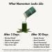 Nutrition Daily Super Greens & Electrolytes Powder Gut Health Hydration Energy & Bloating Relief Spirulina Chlorella Pre & Probiotics Digestive Enzymes Fiber Sugar Free 30 SVG Green Tea Lemonade 1.1 Pound (Pack  - Buy Online on GoSupps.com