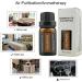 Buy Pure Valerian Essential Oil 10ml Natural Sleep Aid | 5PCs | International Shipping Available - Buy Online on GoSupps.com