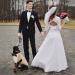 Stylish Dog Wedding Suit - Champagne Costume for Chihuahuas & Small Breeds | Perfect Wedding Outfit | International Shipping - Buy Online on GoSupps.com