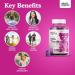 Organic Milk Thistle Gummies - Liver Cleanse & Repair Supplement - Immune Support - 60 Vegan Chews - Buy Online on GoSupps.com