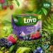 Loyd the Magic Experience Forest Fruit Flavoured Fruit Tea 40g | 20 Tea Bags | Poland Tea Brand | Tea Bags Individually Wrapped | Tea for Every Guest (Forest Fruit 2 Pack) Forest Fruit 2 Pack - Buy Online on GoSupps.com