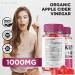 ProFast Keto Gummies with ACV - Advanced Weight Loss Supplement for Belly Fat - 60 Gummies - Buy Online on GoSupps.com