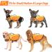 Alagirls Dog Costumes for Small & Medium Dogs | Ripstop Safety Wiskers & Rescue Handle | Orange XL (62-84cm) - Buy Online on GoSupps.com