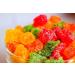 Nature's Harvest Jelly Bites - Sugar Coated Jelly Candy - (800g)_Packing May Vary - Buy Online on GoSupps.com