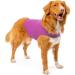 Mellow Shirt Dog Anxiety Calming Wrap - Medium (26-40 lb) Radiant Orchid - Buy Online on GoSupps.com