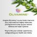 Olivamine EnergyBoost - 60 Capsules with Taurine Rhodiola Vitamin B12 & Olive Leaf Extract for Enhanced Energy & Focus - Buy Online on GoSupps.com