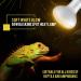 OMAYKEY 2-Pack 50W Basking Spot Heat Lamps Soft White Glow UVA Glass Cover Heat Lamp/Bulb/Light for Lizard Reptiles and Amphibians - Buy Online on GoSupps.com
