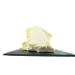 Naturra Organic Unrefined Shea Butter 480g - Cold Pressed Fresh & Premium Quality in Glass Jar | Buy Online Worldwide - Buy Online on GoSupps.com