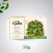 NutroGusto Tea Nettle 35 g - Buy Online on GoSupps.com