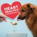 Missing Link Pet Kelp Formula Probiotic 8 oz for Dogs - Natural Digestive Support - Buy Online on GoSupps.com