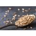Organic Rye Berries 10 lbs - Non-GMO, Kosher, Raw Bulk Seeds from USA - Buy Online on GoSupps.com