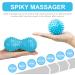 MURLIEN Massage Roller Set & Massage Ball - Blue | Enhance Recovery & Relaxation | Shop Internationally - Buy Online on GoSupps.com