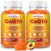 2 Pack CoQ10 Gummies 3000 mg - Plus Omega-3 Vitamin B3 & Zinc High Absorption Coenzyme Q10 Supplements for Cellular Energy & Antioxidant Support Vegan 120 Count 2pack