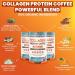 Collagen Peptides Coffee Powder for Weight Loss Supports Digestion Bloating Energy & Focus Fat Burning Joint Skin Hair & Nails High-Protein for Women & Men (60 Servings) - Buy Online on GoSupps.com