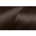Eug ne Perma - P Bl - satin semi-permanent hair colour - deep purple - 100 ml chestnut - Buy Online on GoSupps.com