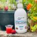 Reverse Life Marine Collagen Liquid Supplement Drink 10,000mg - Vitamin C, Hyaluronic Acid, Biotin - Hair, Skin, Joints, Nails - 500ml - Buy Online on GoSupps.com