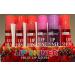 Beauty Treats Lip Shiner Roll-On Fruit Lip Gloss - 36 Pack - Buy Online on GoSupps.com