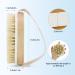 Round Dry Brushing Body Brush for Cellulite, Lymphatic Drainage & Circulation | Soft Massage Nodes for Exfoliation - Buy Online on GoSupps.com