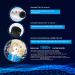 Frizzlife 3-Stage Reverse Osmosis Aquarium Water Filter System - Compact for Tropical Fish & Marine - Compatible with 50/75/100 GPD Membranes - Buy Online on GoSupps.com