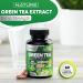 Built by Nature Green Tea Extract Supplement - 60 Capsules - Antioxidant Support - 60 Count - Buy Online on GoSupps.com