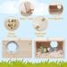RANYPET Transparent Budgie Nesting Box with Perch | Wood Bird Cage House for Lovebirds, Budgies, Finch | 12x12x19.5 cm - Buy Online on GoSupps.com