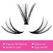30D 0.07 D Curl Cluster Lashes 12-18mm Mixed Trays - DIY Eyelash Extensions at Home - Buy Online on GoSupps.com