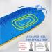 CSCDD Memory Foam Insoles - Breathable Deodorant Cushion for Shoes | Orthopedic Support & Comfort (Medium D - Buy Online on GoSupps.com