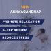 Dr. Klein's Ashwagandha 6000 mg 30:1 root extract 200mg per capsule 10% Withanolides. Sleep Aid Relaxation Stress Support with L-Theanine 200mg & Magnesium Bisglycinate 75mg Natural Cortisol Supplement. 30 Capsules. 30 count (Pack of 1) - Buy Online on GoSupps.com