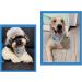 Shop Stylish ARING PET Flamingo Dog Bandana - Cotton Triangle Bibs for Small & Large Dogs and Cats | International Shipping Available - Buy Online on GoSupps.com