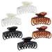 RC ROCHE ORNAMENT 6 Pcs Womens Classic Double Multi Layer Fine Teeth Claws - Large Clear Brown and Black Pack of 6 - Buy Online on GoSupps.com