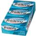 Trident Sugar-Free Gum Slab Freshmint Gum 12 Count Freshmint 168 count (Pack of 1) - Buy Online on GoSupps.com