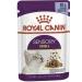 Royal Canin Sensory Smell in Jelly Wet Cat Food 85g (Pack of 48)