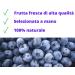 Head Service Chef Service Bevofrutta 100 organic blueberries 6 pieces of 210 ml - Buy Online on GoSupps.com
