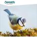 DONATH Energy Dumplings - Hemp Wild Bird Feed - 100g 6 Pack - Premium German Manufactory - Buy Online on GoSupps.com
