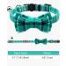 Tagme Turquoise Cat Collar with Personalized Name & Phone Number - Safe Kitten Neck Band with Bell | 1 Pack - Buy Online on GoSupps.com