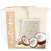 ScrapCooking - P te de Fourrage Cr meux Coco 200 g - Pour Fourrer Tablettes clairs Choux Rochers Macarons G teaux B ches de No l & Cookies - Noix de Coco - P tisserie - 4635