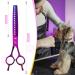 Jason 7.5 Chunker Scissors - Professional Dog Thinning Shears | Japanese Stainless Steel Effilator Scissors with 16 Teeth | Purple Pet Grooming Tools - Buy Online on GoSupps.com