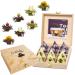 Creano Blooming Tea Gift Set in Stylish Wooden Tea Box - 12pcs Flowering Tea in Cupsize - Black & White Tea