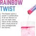 BioSteel Hydration Mix Great Tasting Hydration with Zero Sugar and No Artificial Flavours or Preservatives Rainbow Twist Flavour 24 Single Serving Packets - Buy Online on GoSupps.com